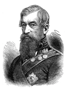 Mason Co Prints: Sir Archdale Wilson, of Delhi, 1874. Creator: Unknown