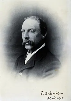 Named Prints: Sir Edward Albert Sharpey-Schafer, 1900. Creator: Unknown