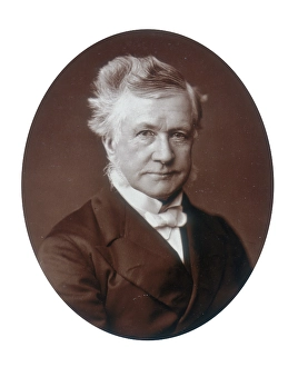 Woodburytype Prints: Sir Robert Lush, Judge of the High Court of Justice, 1881. Creator: Lock & Whitfield