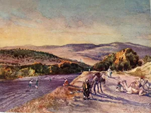 Site of the Ancient City of Samaria, 1902. Creator: John Fulleylove