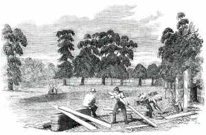 Fencing Prints: Site of the Building of the Great Exhibition of 1851, 1850. Creator: Unknown