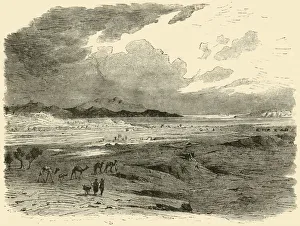 Trojan Wars Gallery: The Site of Troy, 1890. Creator: Unknown