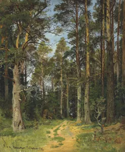 1896 Prints: Siverskaya, 1896. Creator: Shishkin, Ivan Ivanovich (1832-1898)