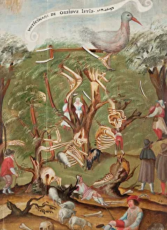 Carcass Prints: The Skeleton Forest, 1641. Creator: Unknown
