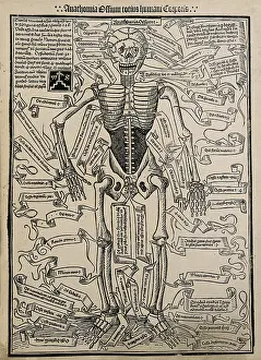 Complex Prints: A skeleton, seen from the front