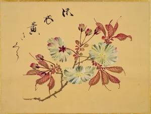 Cherry Prints: From the Sketch Book of Sakura (Cherry Blossoms)