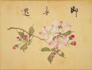 Cherry Prints: From the Sketch Book of Sakura (Cherry Blossoms)