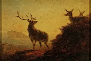 Antler Prints: Sketch of Deer - Evening, 1850-1870. Creator: James William Giles