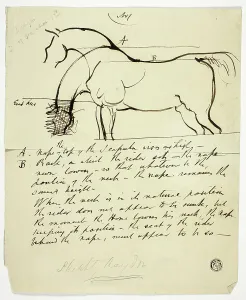 Haydon Benjamin Prints: Sketch of Horse with Notations, n.d. Creator: Benjamin Robert Haydon
