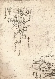 Armenian Gallery: Sketch map of Armenia, c1472-c1519 (1883). Artist: Leonardo da Vinci