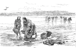 Baskets Prints: Sketch of a picture in the Royal Academy Exhibition: Mussel Gatherers