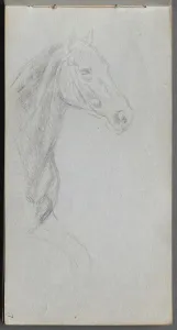 1815 1891 Prints: Sketchbook, page 07: Study of a Horse. Creator: Ernest Meissonier (French, 1815-1891)