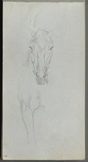 1815 1891 Prints: Sketchbook, page 09: Study of a Horse. Creator: Ernest Meissonier (French, 1815-1891)