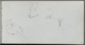 1815 1891 Prints: Sketchbook, page 53: Animal Studies and Tree Study
