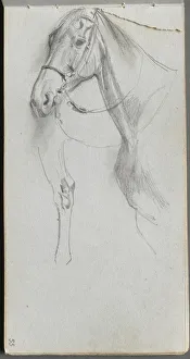 1815 1891 Prints: Sketchbook, page 55: Study for a Horse. Creator: Ernest Meissonier (French, 1815-1891)