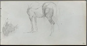 1815 1891 Prints: Sketchbook, page 73: Study of a Horse