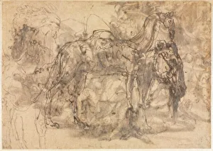 Sketches of Animals (verso), c. 1545/47. Creator: Perino del Vaga (Italian, 1500/01-1547) Sketches of Animals (verso), c. 1545/47. Creator: Perino del Vaga (Italian, 1500/01-1547)