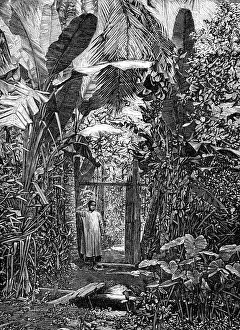 Southeast Asia Prints: Sketches of Annam, Cochin China: village pathway, 1883. Creator: Kemp