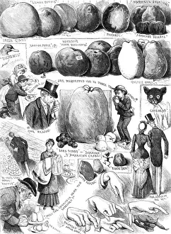 Visitor Prints: Sketches at the Apple Congress at Chiswick, 1883. Creator: Unknown