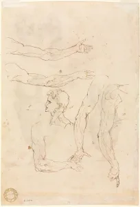 Luzio Romano Prints: Sketches of Five Arms and a Head (verso), mid 1500s. Creator: Luzio Romano (Italian