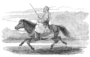Tartary Prints: Sketches in Cashmere - Tartar of Ladak, and Yarkund Pony, 1857. Creator: Unknown
