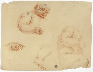 Torso Prints: Sketches of a Child: Half-Length, Torso, Foot, Hand, 1700/1799. Creator: Unknown