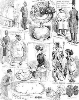 Display Prints: Sketches at the Crystal Palace Potato Show, 1883. Creator: Unknown