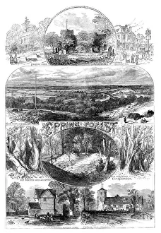 Beech Trees Prints: Sketches in Epping Forest, 1871. Creator: Unknown