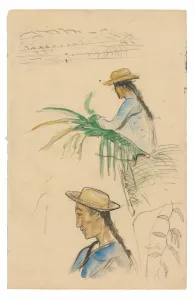 French Polynesian Prints: Sketches of Figures, Pandanus Leaf, and Vanilla Plant, 1891 / 93. Creator: Paul Gauguin