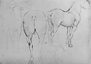 Sketchbook Prints: Four Sketches of Horses, c1480 (1945). Artist: Leonardo da Vinci