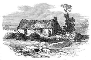 Irish Republic Prints: Sketches from Ireland: Mike Brannan's cabin in the Hundred Acres Bog