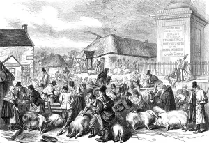 The Iron Duke Prints: Sketches from Ireland: the Pig Fair at Trim, County Meath, 1870. Creator: Unknown