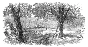 Irish Republic Prints: Sketches from Ireland: place where Mr. Nicholson was fired at, 1870. Creator: Unknown