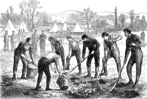Baskets Prints: Sketches in Ireland: Property Defence Association: digging potatoes at Woodgyft