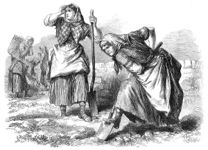 Aprons Prints: Sketches from Ireland: women at field-work in Roscommon, 1870. Creator: Unknown