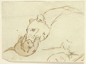 Marks Henry Stacey Prints: Five Sketches of Lions: Lioness with Cub, n. d. Creator: Henry Stacy Marks