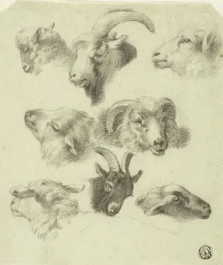 Horns Prints: Sketches of Mountain Sheep, n.d. Creators: Charles Landseer, Edwin Henry Landseer