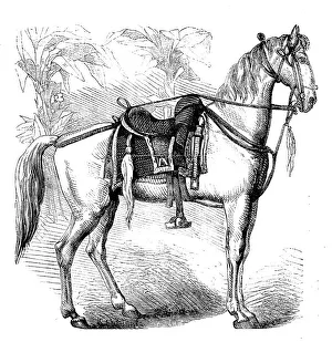 Sketches of Native Life in India - Sikh Horse, 1858. Creator: Unknown