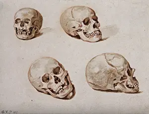 Crayon Prints: Four sketches of skulls, 1817. Creator: Unknown