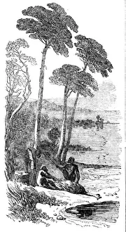 Outback Prints: Sketches in Southern Australia - the Dead Emu, 1857. Creator: Unknown