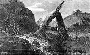 Fallen Tree Prints: Sketches in Southern Australia - River Fall in the interior, 1857. Creator: Unknown