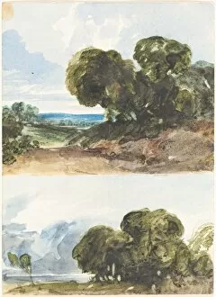 Bulwer James Redfoord Collection: Two Sketches of Trees. Creator: James Bulwer