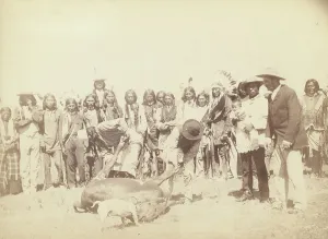 Grabill Prints: Skinning Beef, between 1887 and 1892. Creator: John C. H. Grabill