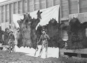 Frontiersman Prints: Skins of animals killed on Show River [i