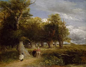 Cox David The Elder Gallery: The Skirts of the Forest, 1856. Creator: David Cox the elder