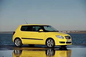 SKODA Fabia 2007. Artist: Simon Clay