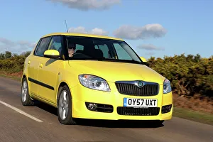 SKODA Fabia 2007. Artist: Simon Clay