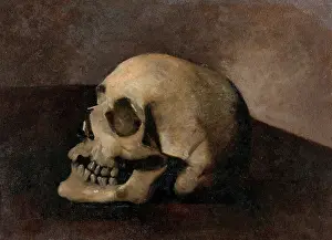 Oil On Paper Prints: A skull. Creator: Unknown
