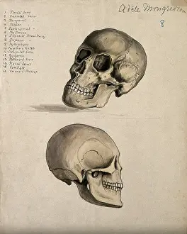 1880 Prints: A skull: two figures, 1880. Creator: Adele Mongredien