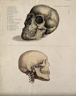 1880 Prints: A skull: two figures, 1880. Creator: Jeannette Mongredien